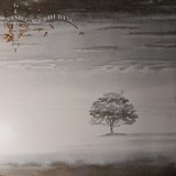 VINIL LP Genesis &ndash; Wind &amp; Wuthering (EX)