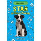 Star on Stormy Mountain