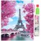 Set de broderie cu diamante 5D, model Paris, 30x40 cm, accesorii incluse, multicolor