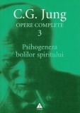 Psihogeneza bolilor spiritului (Vol. 3) - Paperback brosat - Carl Gustav Jung - Trei