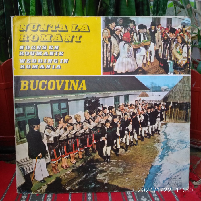 -Y- NUNTA LA ROMANI - BUCOVINA ( DUBLU ALBUM ) / DISC VINIL LP