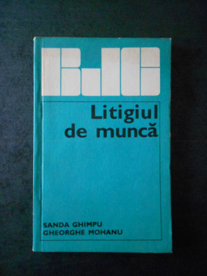 Sanda Ghimpu - Litigiul de munca foto