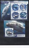 Sierra Leone 2016 - Balene, Colita + Bloc, Cota 22 Euro (Tiraj 1000 - Vezi Numerotarea !!!), MNH