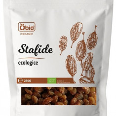 Stafide Bio 250 grame Obio
