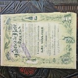 Actiune nominativa de 1000 LEI , emisa de Societatea Anonima ,, FABRICA DE BERE AZUGA " , an 1923 + talon cu 16 CUPOANE