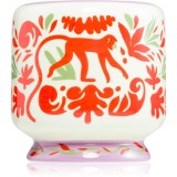 Paddywax A Dopo Jungle lum&acirc;nare parfumată 226 g