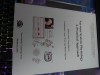 Nervous System Physiology - A Practical Approach