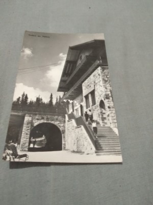 CARTE POSTALA PALTINIS CIRCULATA foto