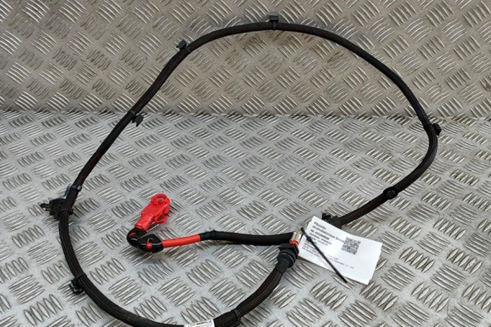 Cablu baterie pozitiv BMW 3 G20, G28 2022 OEM: 8704697 31204028