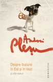 Despre bucurie in Este si in Vest - Andrei Plesu