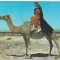 bnk cp Siria - Costume arabe in desert - Kruger - necirculata