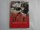 CORNEL DINU - ZAMBIND DIN IARBA - ROMAN AUTOBIOGRAFIC
