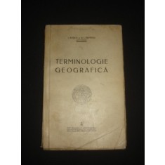 TERMINOLOGIE GEOGRAFICA - I. ROSCA