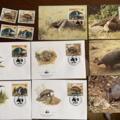 paraguay - vultur - serie 4 timbre MNH, 4 FDC, 4 maxime, fauna wwf