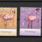 ROMANIA 2021 - FLAMINGO, TABS 1 DIN COALA DE POSTA, MNH - LP 2336