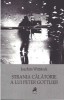 Strania calatorie a lui Peter Gottlieb &ndash; Joachim Wittstock - Roman