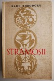 Stramosii &ndash; Radu Theodoru