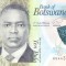 Bancnota Botswana 10 Pula 2020 - PNew UNC ( polimer )