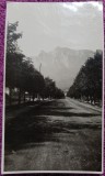 Fotografie, Busteni, Bulevardul Carol, 1930
