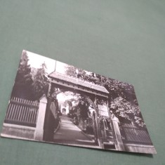 CARTE POSTALA GRADINA BOTANICA DIN CLUJ -POARTA P[RINCIPALA NECIRCULATA