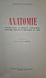 Medicina E Repciuc Anatomie Editia 1966