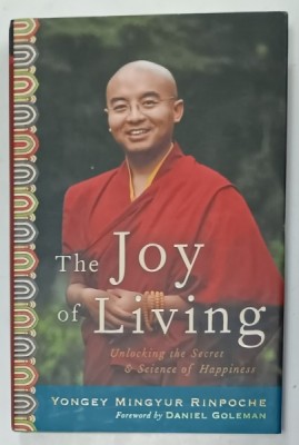 THE JOY OF LIVING , UNLOCKING THE SECRET and SCIENCE OF HAPINESS by YONGEY MINGYUR RINPOCHE , 2007 foto