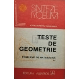 Catalin Petru Nicolescu - Teste de geometrie. Probleme de matematica, vol. 2 (editia 1986)