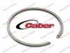 Segment drujba 44.3mm x 1.5mm Caber