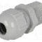 Presetupa poliamida, NPT3/8&quot;, IP68, LAPP - 53016010