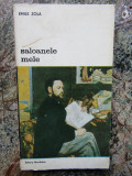 Emile Zola - Saloanele mele