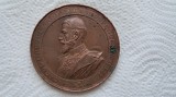 Tera Jiului 1898 medalie martirului independentei machetator carniol