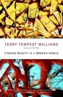 Finding Beauty in a Broken World foto