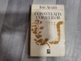 Constelatia corifeilor de Ion Acsan