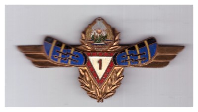 Insigna Radiolocatie cls. I RSR, stare buna, fara piulita foto