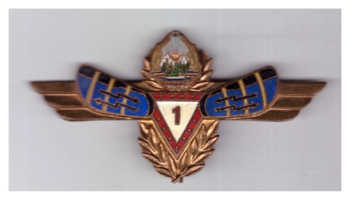 Insigna Radiolocatie cls. I RSR, stare buna, fara piulita