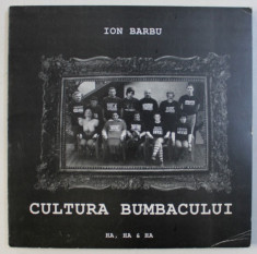 CULTURA BUMBACULUI de ION BARBU , 2004 foto