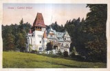 Cumpara ieftin Sinaia. Castelul Pelisor (necirculata)