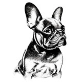 Cumpara ieftin Sticker decorativ Caine Bulldog, Negru, 87 cm, 7826ST, Oem