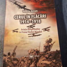 Cerul in flacari 1914 - 1918 aviatia beligerantilor Valeriu Avram
