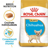 Royal Canin Chihuahua Puppy hrană uscată c&acirc;ine junior, 1.5kg