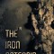 The Iron Asteroid