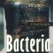 A Field Guide to Bacteria