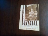 BRASOVUL - Emanoil Bucuta - Editura Colectia &quot;Lumea Turistica&quot;