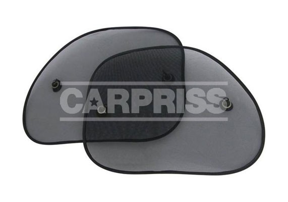 CARPRISS 70510101 Parasolar
