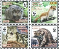WWF 2022 Tajikistan foto