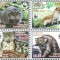 WWF 2022 Tajikistan
