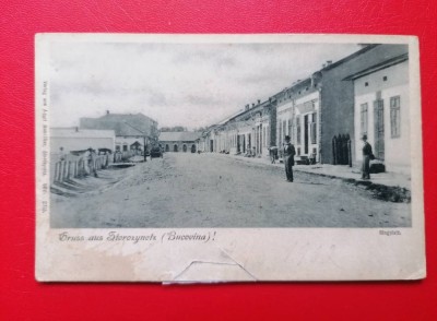 Bucovina Salutari din Storojinet foto
