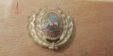 QW14 - Emblema militara / cuc - uscat - comunism - piesa de colectie