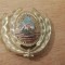 QW14 - Emblema militara / cuc - uscat - comunism - piesa de colectie