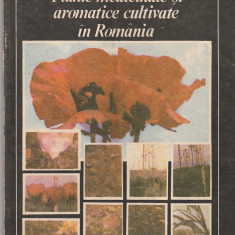 LEON S. MUNTEAN - PLANTE MEDICINALE SI AROMATICE CULTIVATE IN ROMANIA